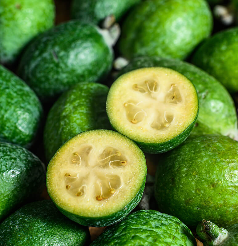 Feijoa Kaymak Ağacı