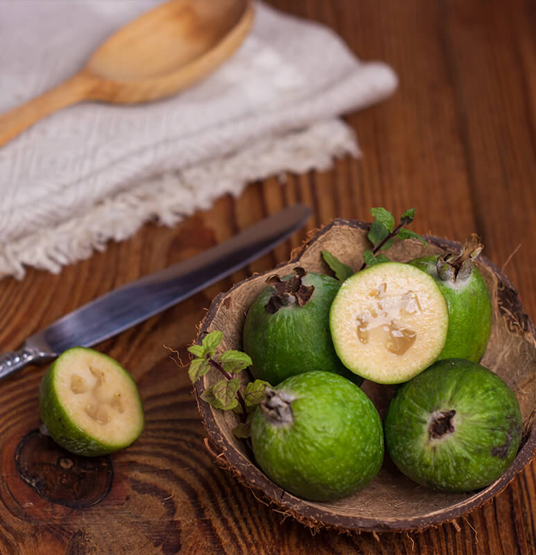 Feijoa Kaymak Ağacı