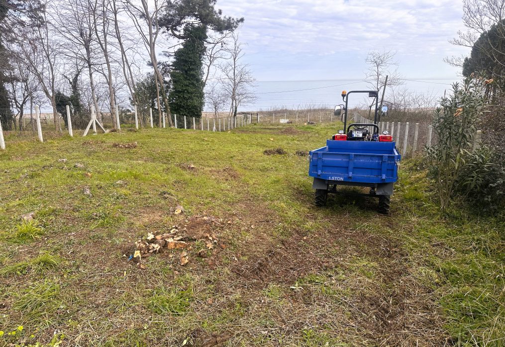 Güzel Bir Başlangıç