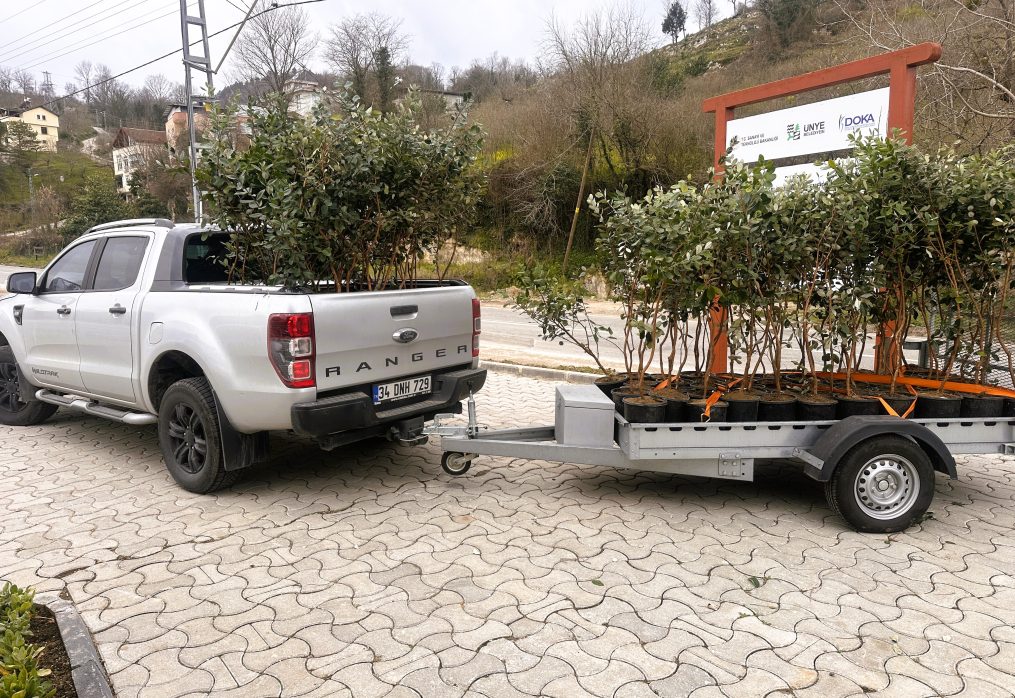 Ve Dikimler Başladı